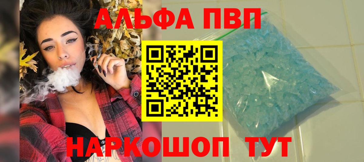 Alfa_PVP СК Коммунар