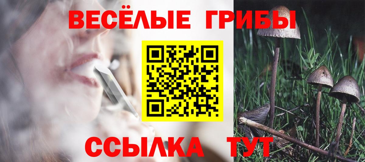 Коммунар  Псилоцибиновые грибы мухоморы  Вход с VPN  Псилоцибиновые грибы MAGIC MUSHROOMS 