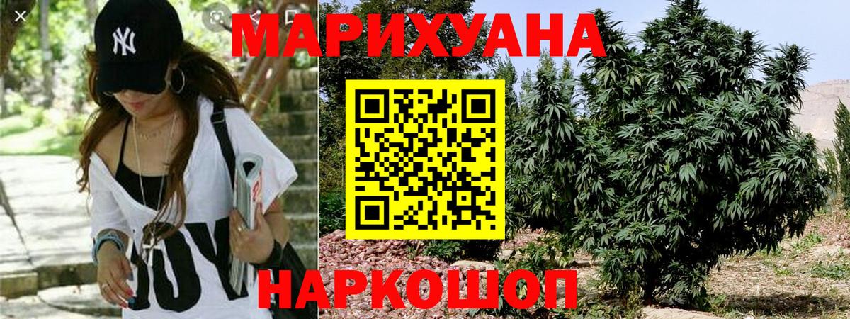 Бошки марихуана план Коммунар